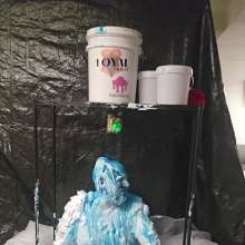 ItsJustDandy: Week Old Gunge and Shaving Cream