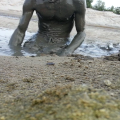 guy seeks girl to join: who wants to see more..