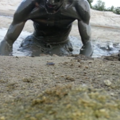 guy seeks girl to join: who wants to see more..