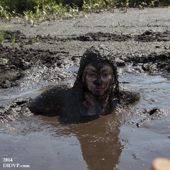 DIDVP_Leila: Seven models sank in the mud for me...