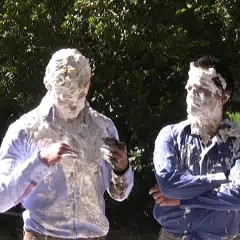 uppercrust: Hot guy pied in game show spoof
