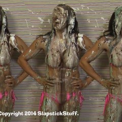 SlapstickStuff: 