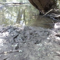 GungeMonkey: Gave my friend her first Mud Bath