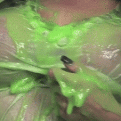 noise: Pie and Slime Gifs...