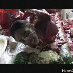tomfooleryguy: More Gifs