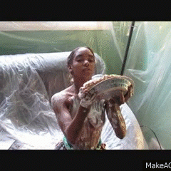 tomfooleryguy: More Gifs