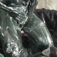 Stella: Stella messes herself up in a variety of colored paint and shaving foam