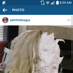 Shavingcreampie21: What video is this pic from?