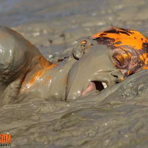 FOXY: New set Debbie in deep mud