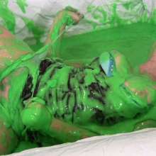 Messygirl: Pics from a New Messygirl Download
