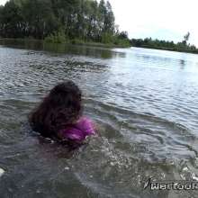 Tarzan: WetlookAdventure--Adventures on the spring river. Part II
