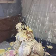 Dominic: Kayla--The Pie and Gunge Quizzes