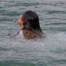 WAM Photography: 