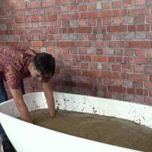 MostWam: Paddy Enjoys A Mud Bath