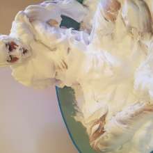 Submergedinfoam: Foam Fun