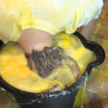 Jayce: School Girl Dixie+140 Eggs. Dixie makes anything adorable!
