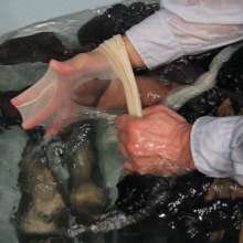 carlosstf33: Wet heels, Nylons, bath, foam