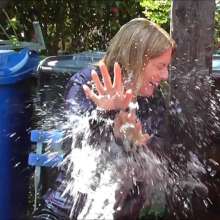 123gunge: Candie VS The farm.