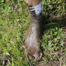 jamcustard22: Porridge in trainers then walk in mud.