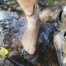 jamcustard22: Porridge in trainers then walk in mud.