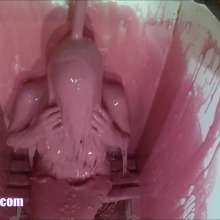 CandyCustard: Ivy's Gunge Quiz
