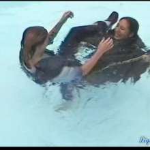 wamtec: Jeans Girls in the Pool Again!