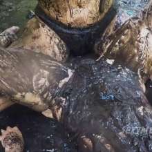 Alana SexyMessyBabes: Mud Babes Pt. 1