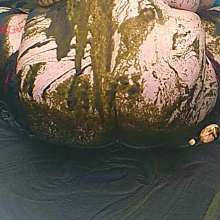 MogAnarchy: Muddy Bubbles!