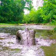 Clifford Anderton: 3 New Mud Galleries!  Again.