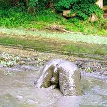 Clifford Anderton: 3 New Mud Galleries!  Again.