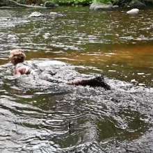 Stella: Silt Swim