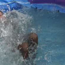 Jayce: 18 Foot WaterSlide into Pool Just for Us!