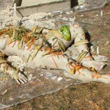 quetzalcoatl: New folder pics "Clay mud" in my profile