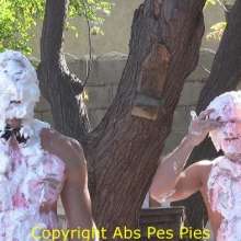 pyd2222: I made at least 2000 pies over 7 years