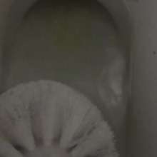 LiquidX: Lisa's Toilet Cleaning Punishment