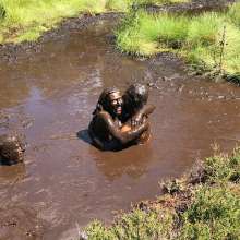 pielova: Good Fun in Mud
