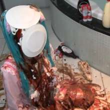 usamilk japanese cosplay: Messy Play of Japanese Cute Cosplay Girl: Mokuzu 01