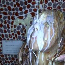 usamilk japanese cosplay: Messy Play of Japanese Cute Cosplay Girl: Mokuzu 02
