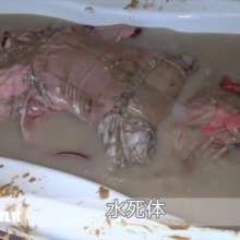 usamilk japanese cosplay: Messy Play of Japanese Cute Cosplay Girl: Mokuzu 02
