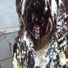 usamilk japanese cosplay: Messy Play of Japanese Cute Cosplay Girl: Chibiusa 02