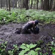 Stella: Mucky Puppies