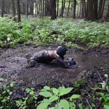 Stella: Mucky Puppies