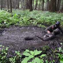 Stella: Mucky Puppies