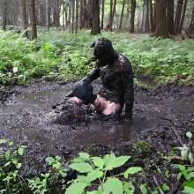 Stella: Mucky Puppies