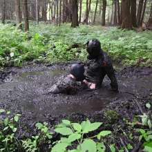 Stella: Mucky Puppies