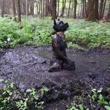 Stella: Mucky Puppies