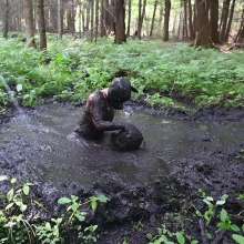 Stella: Mucky Puppies