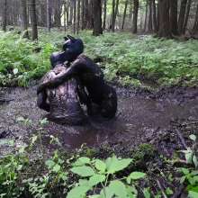Stella: Mucky Puppies