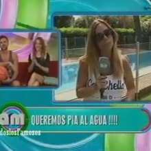 mad_mick_at: Reporter jumps in the pool