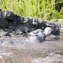 Clifford Anderton: New Mud Volcano Fun!